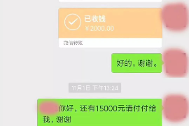 楚雄专业要账公司